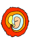 El embrión en el primer mes de embarazo